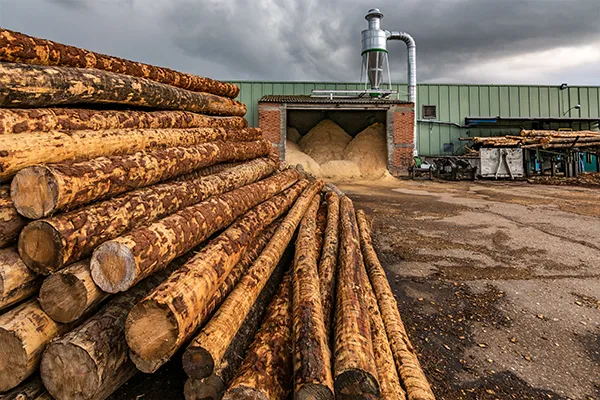 riconversione per filiera legno